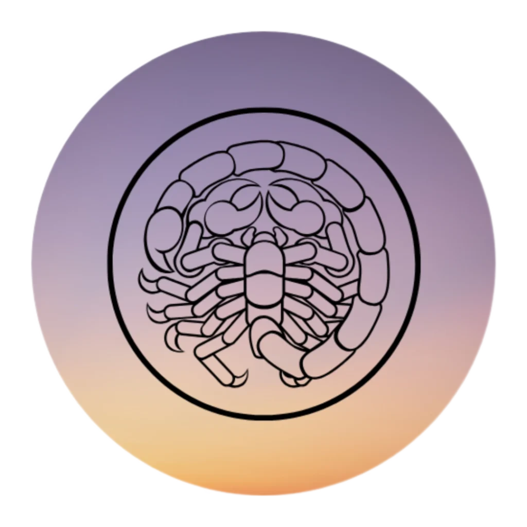 Scorpio zodiac sign illustration for transformation, passion, and intensity – Dare to Mystic